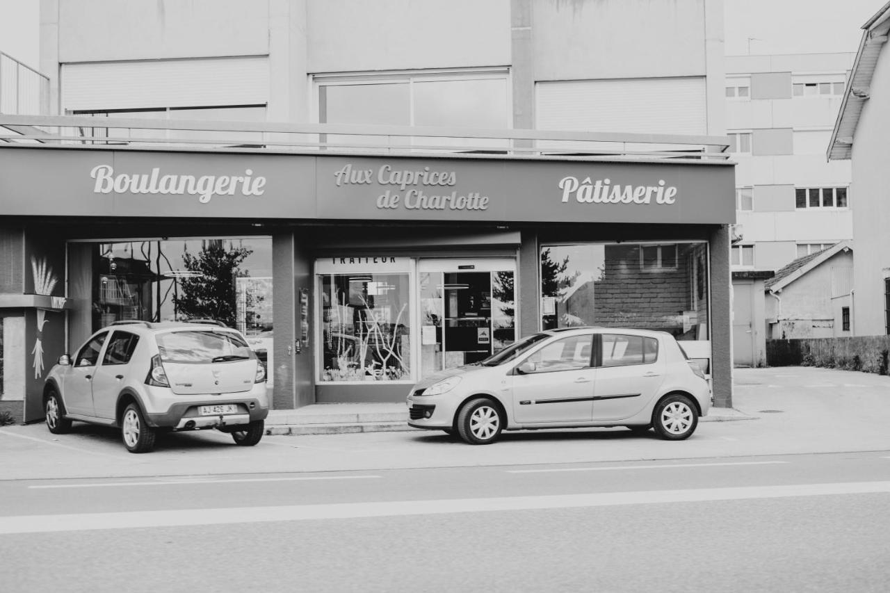 Franc-Bisontin - Unique ! 4 Logements Disponibles Besançon Esterno foto